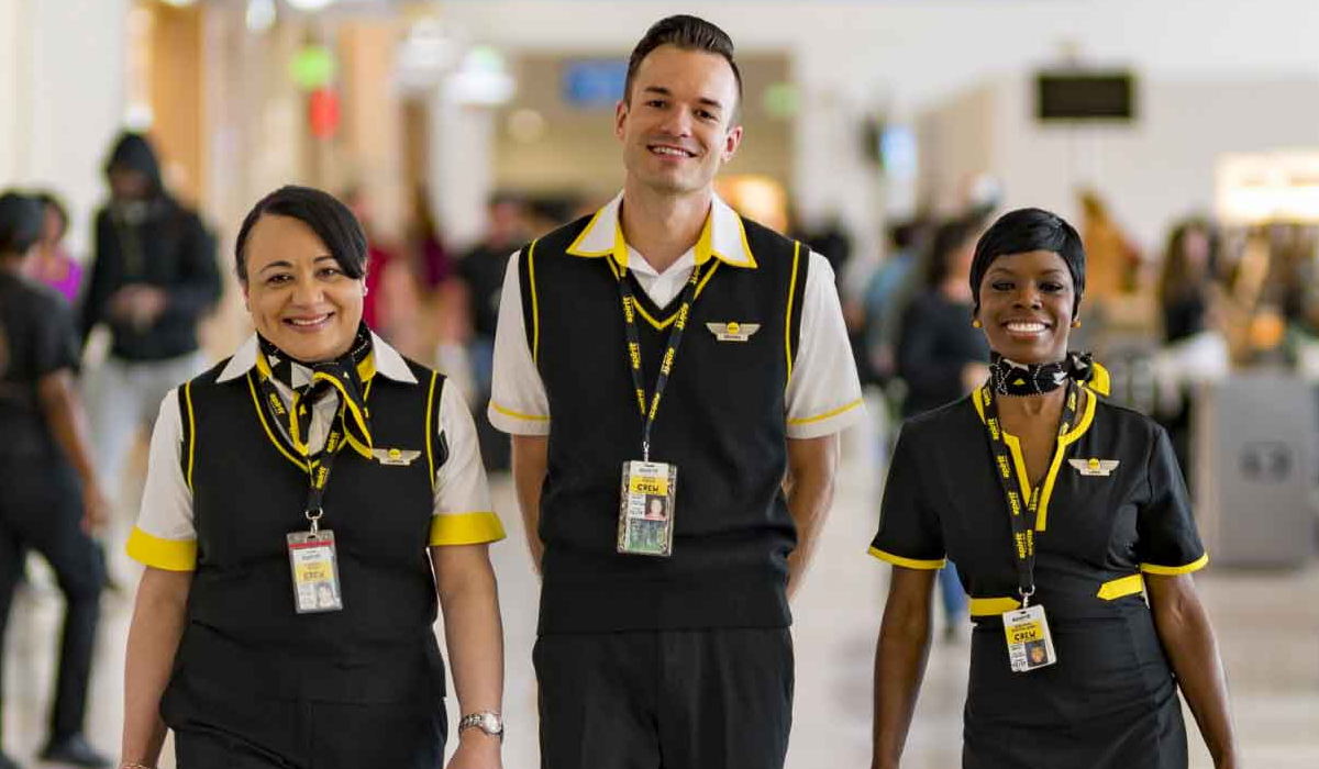 Spirit Airlines strategy detail